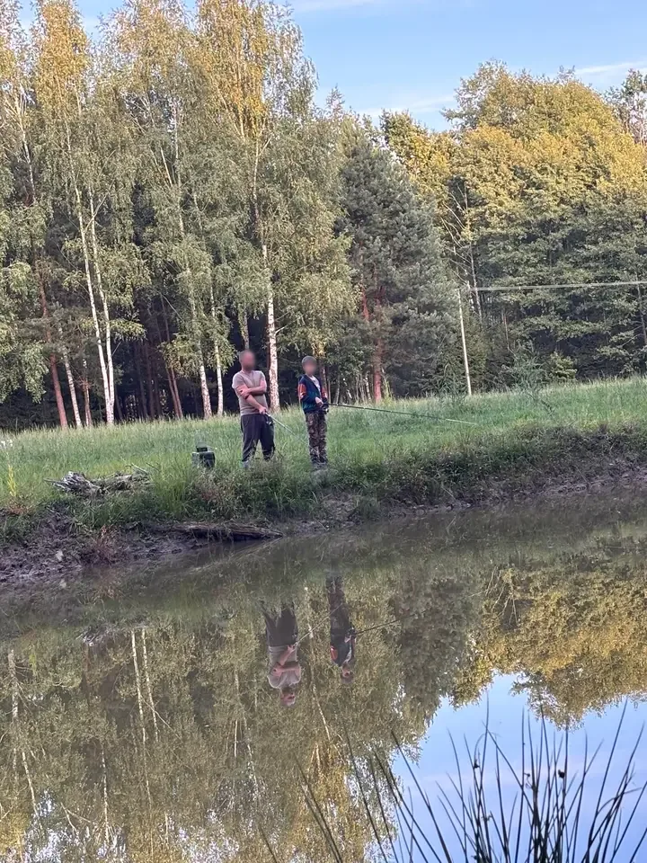 Staw, w którym odbijają się drzewa