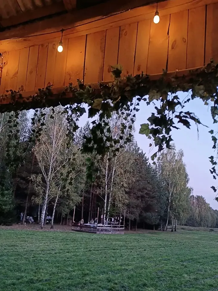 Widok spod drewnianej wiaty z lampkami na las i polanę