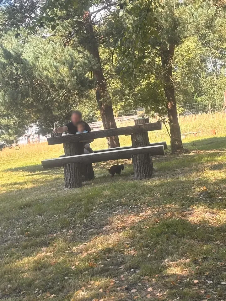 Drewniany stół piknikowy w cieniu drzew