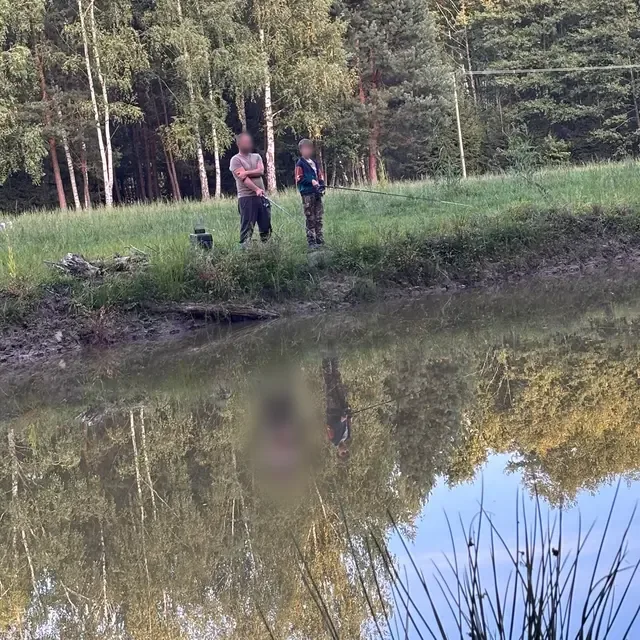 Staw, w którym odbijają się drzewa