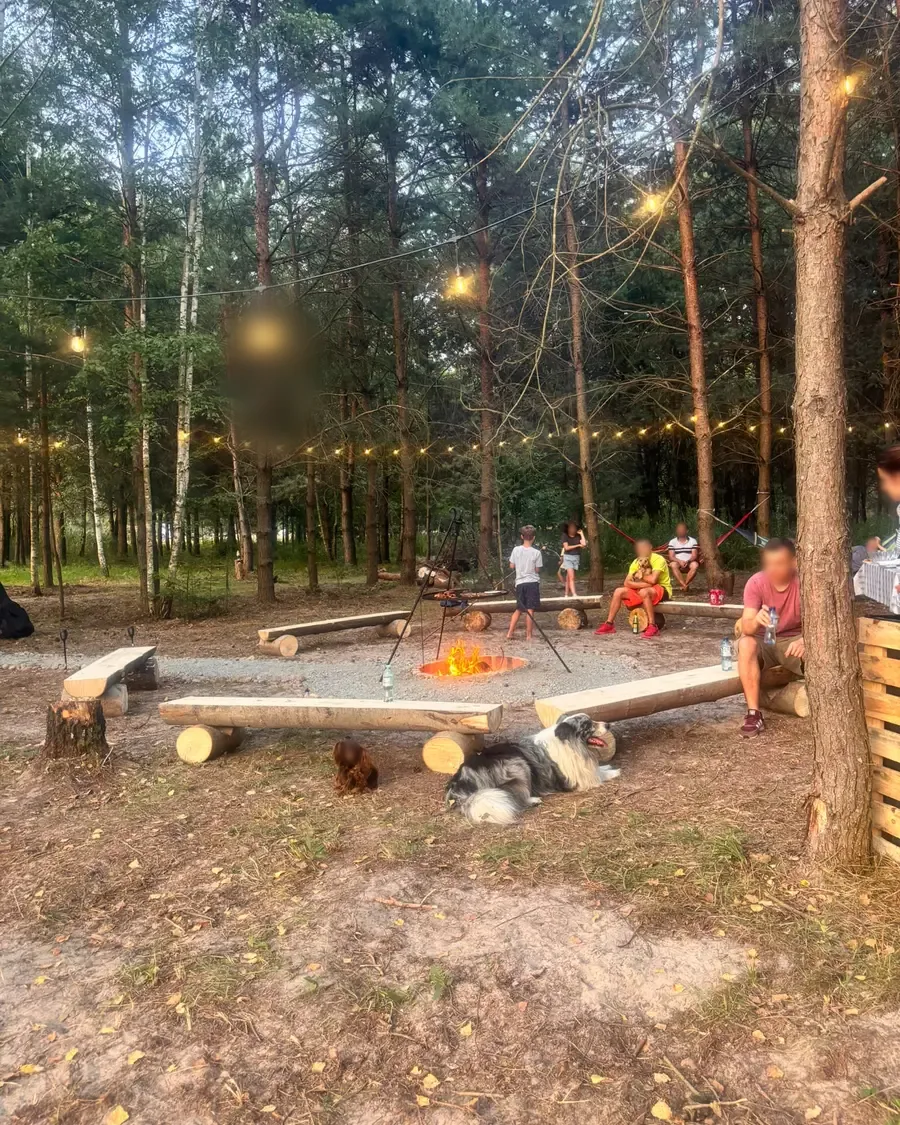 Ognisko w kręgu z drewnianych ław, nad nim girlandy żarówek między sosnami